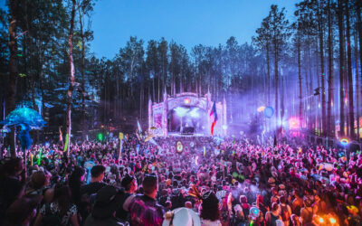 Choose Your Side Quest: Electric Forest 2024